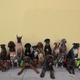 Illustration for article titled Yes, this photo is the best